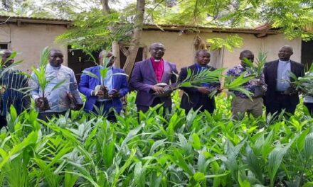 Akyem Abuakwa Presbytery supports church members with 40,000 palm oil seedlings