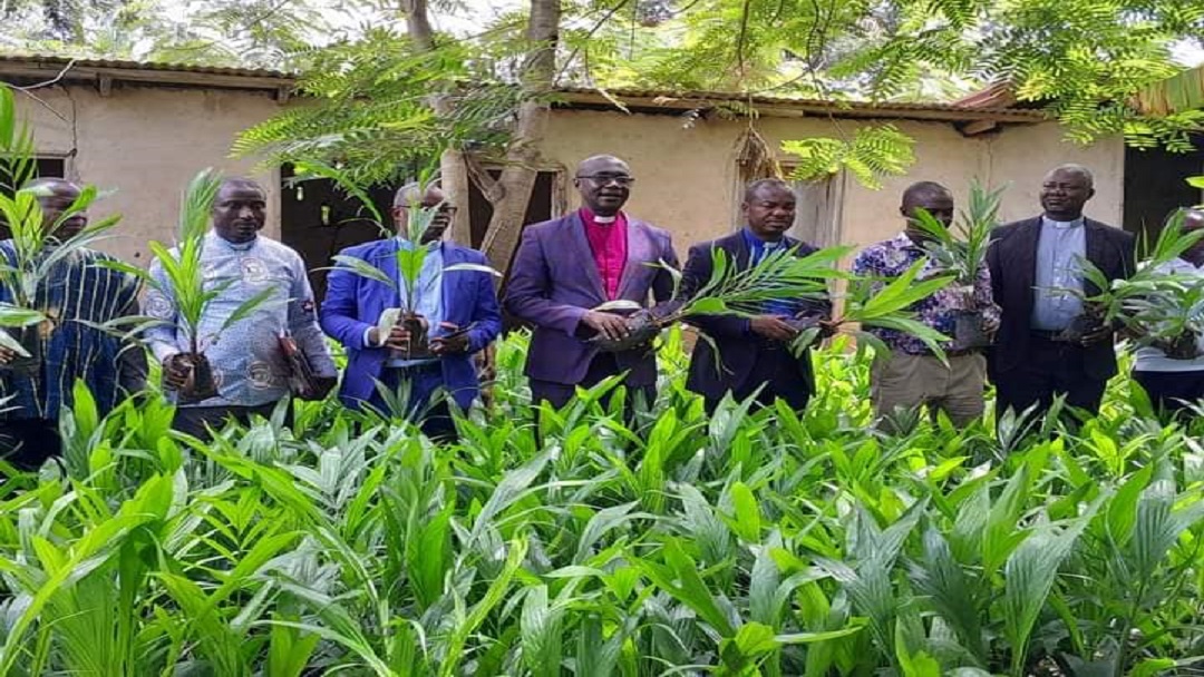 Akyem Abuakwa Presbytery supports church members with 40,000 palm oil seedlings